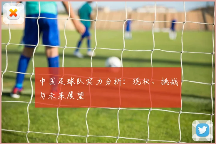中国足球队实力分析:现状、挑战与未来展望